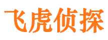 岭东市婚姻调查